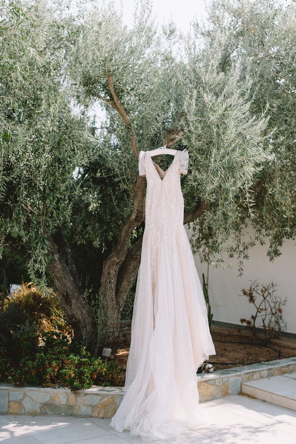 A delicate white wedding dress hangs elegantly among olive trees in an outdoor garden setting.