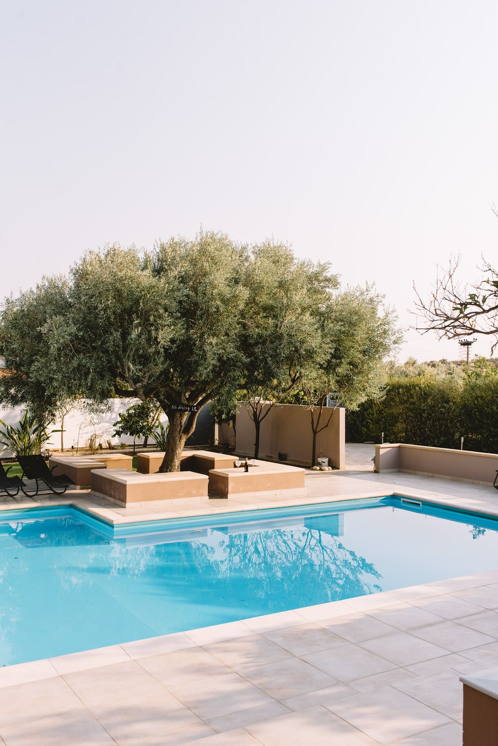 Modern swimming pool with turquoise water surrounded by olive trees and stone pavers in a Mediterranean setting.
