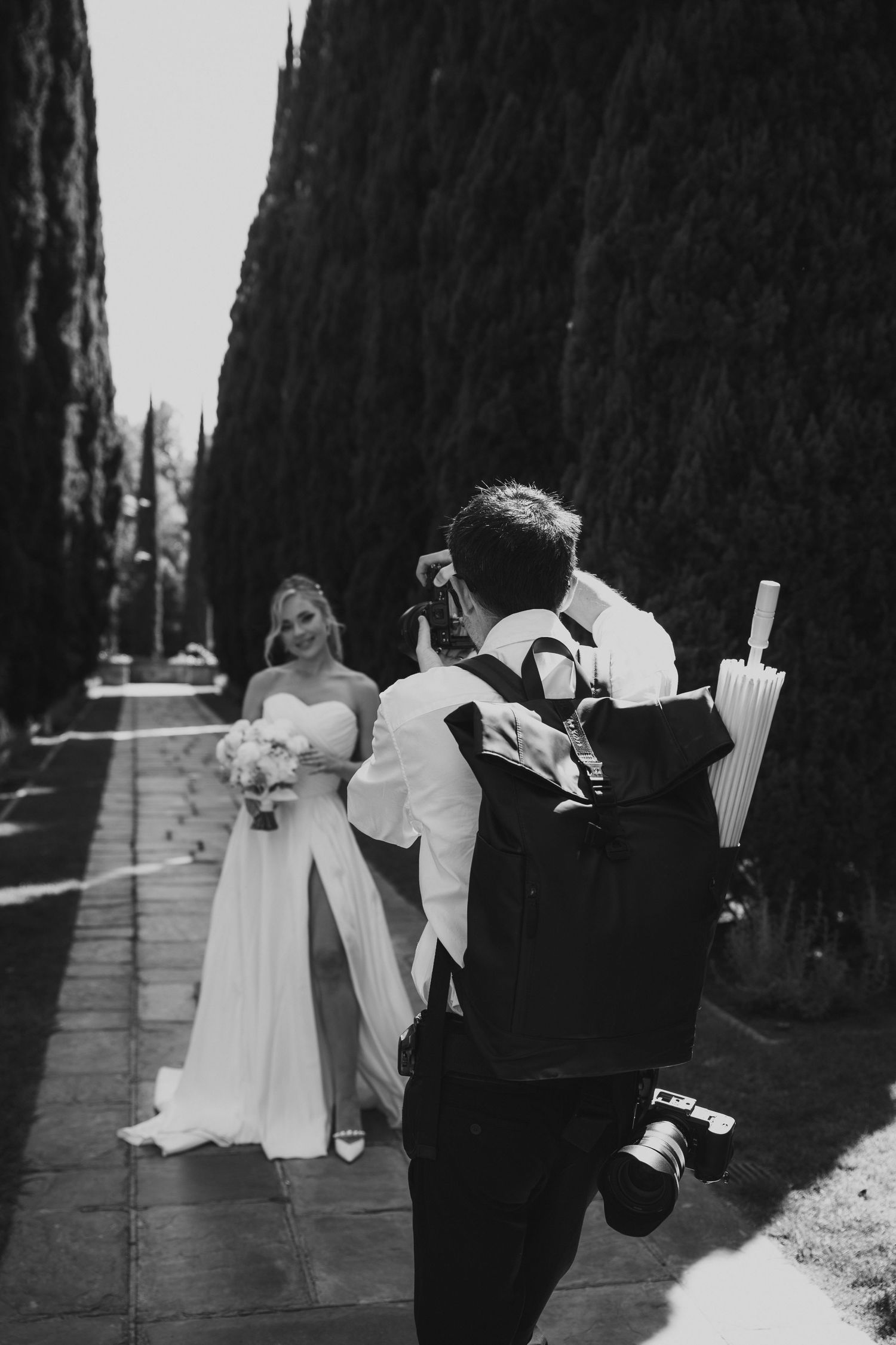 A couple in wedding attire poses in a dramatic pathway lined with tall cypress trees in black and white photography.