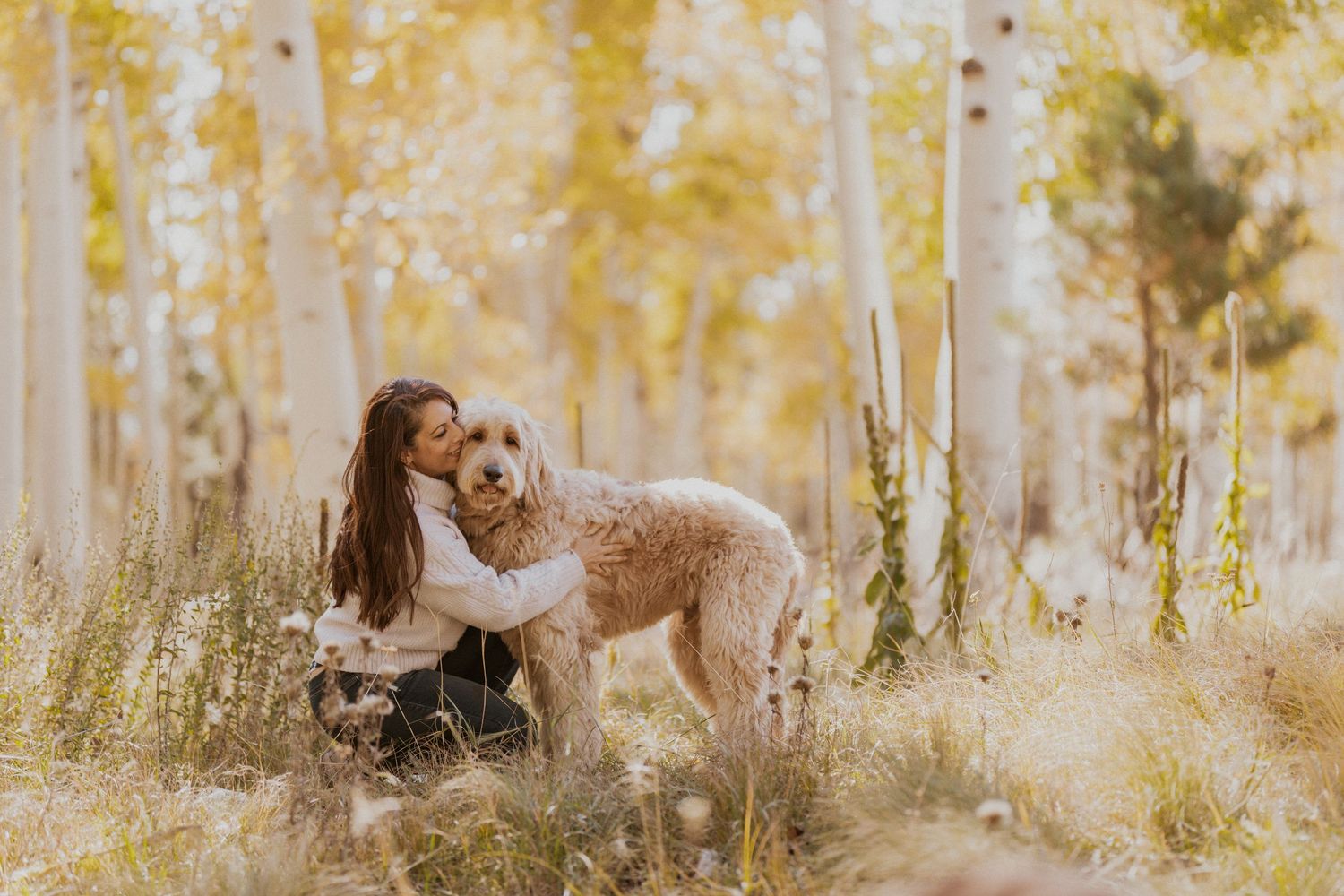 Person in athletic wear hiking with a fluffy sheepdog on desert trail with tall saguaro cactus in Arizona landscape.