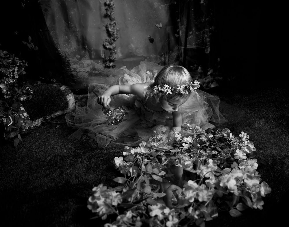 A series of black and white floral still life photographs arranged in a horizontal row with dramatic lighting.