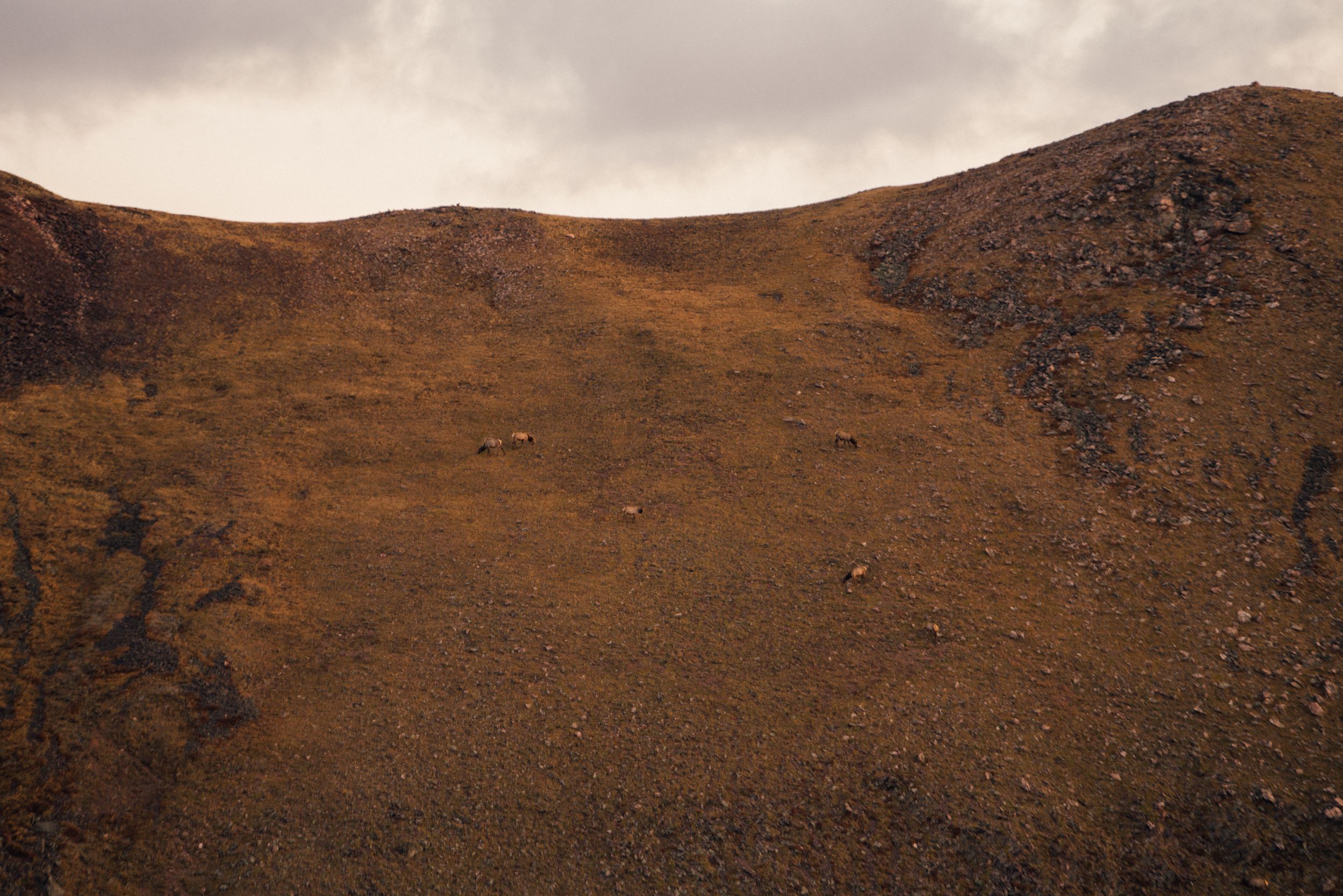 Rolling brown hills and mountain slopes under a cloudy sky in a rugged landscape.