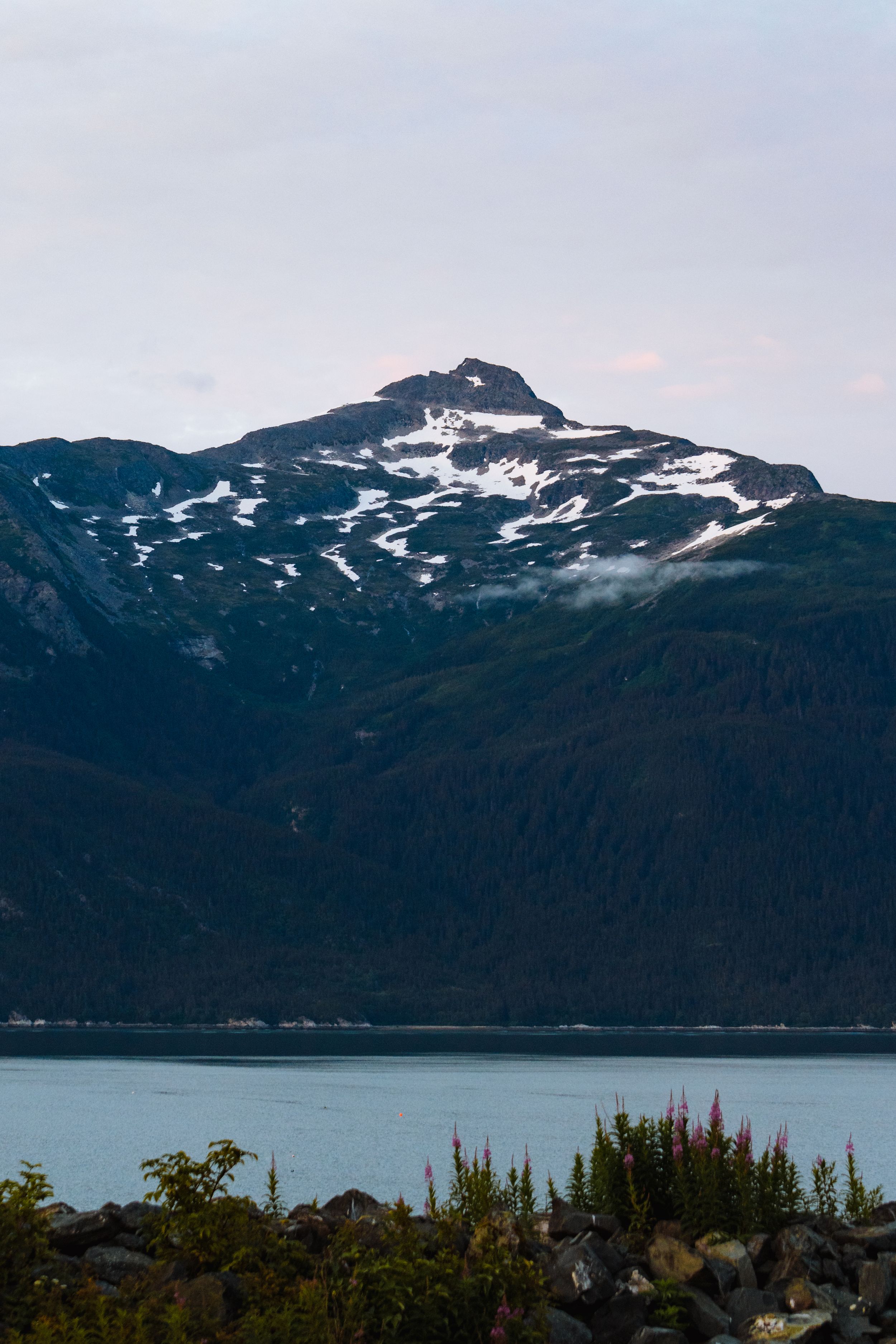 Snow-covered mountain peaks rise above a lake with vegetation in foreground.