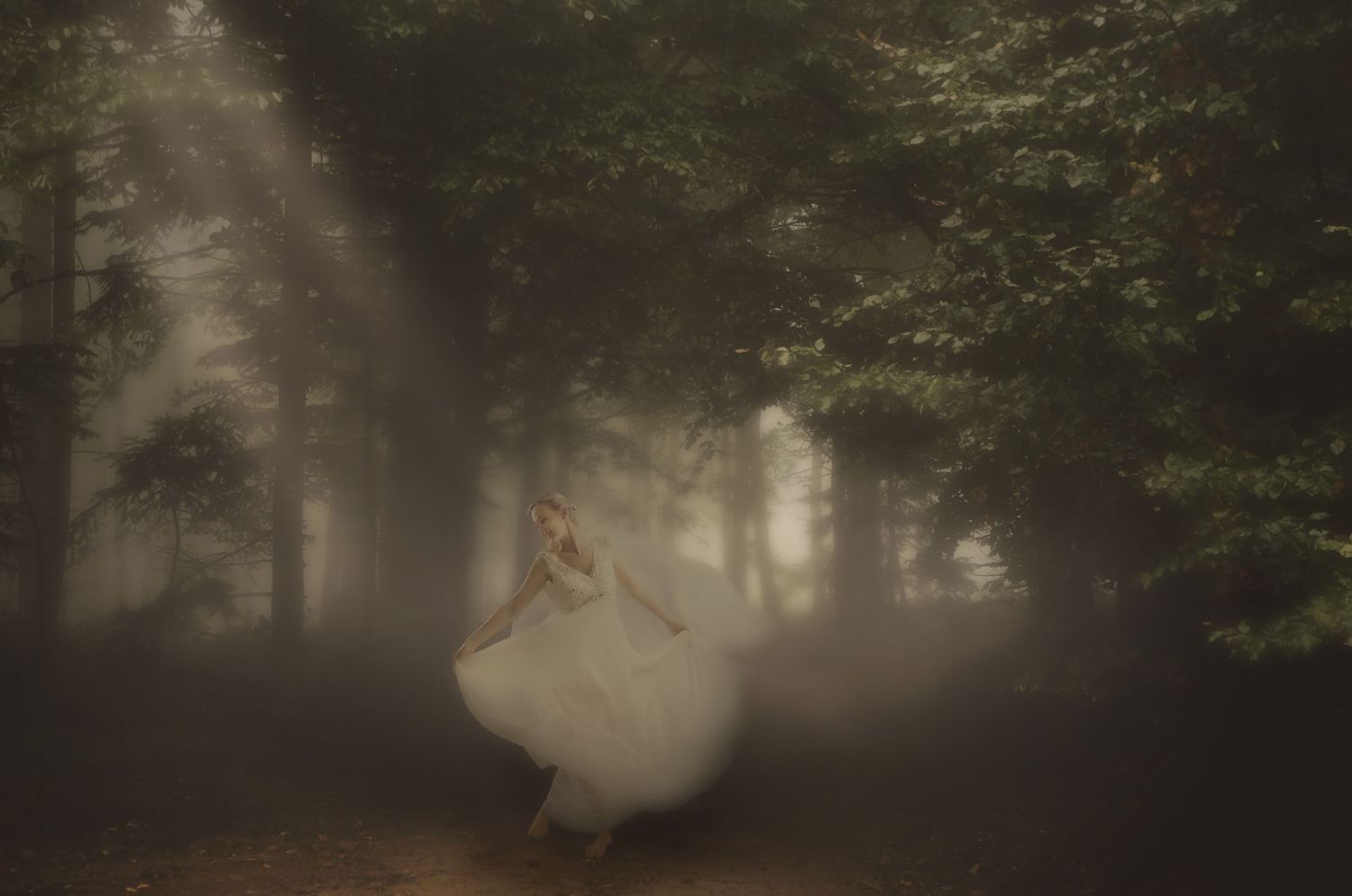 Misty forest landscape with sunlight filtering through dense trees creating atmospheric mood.
