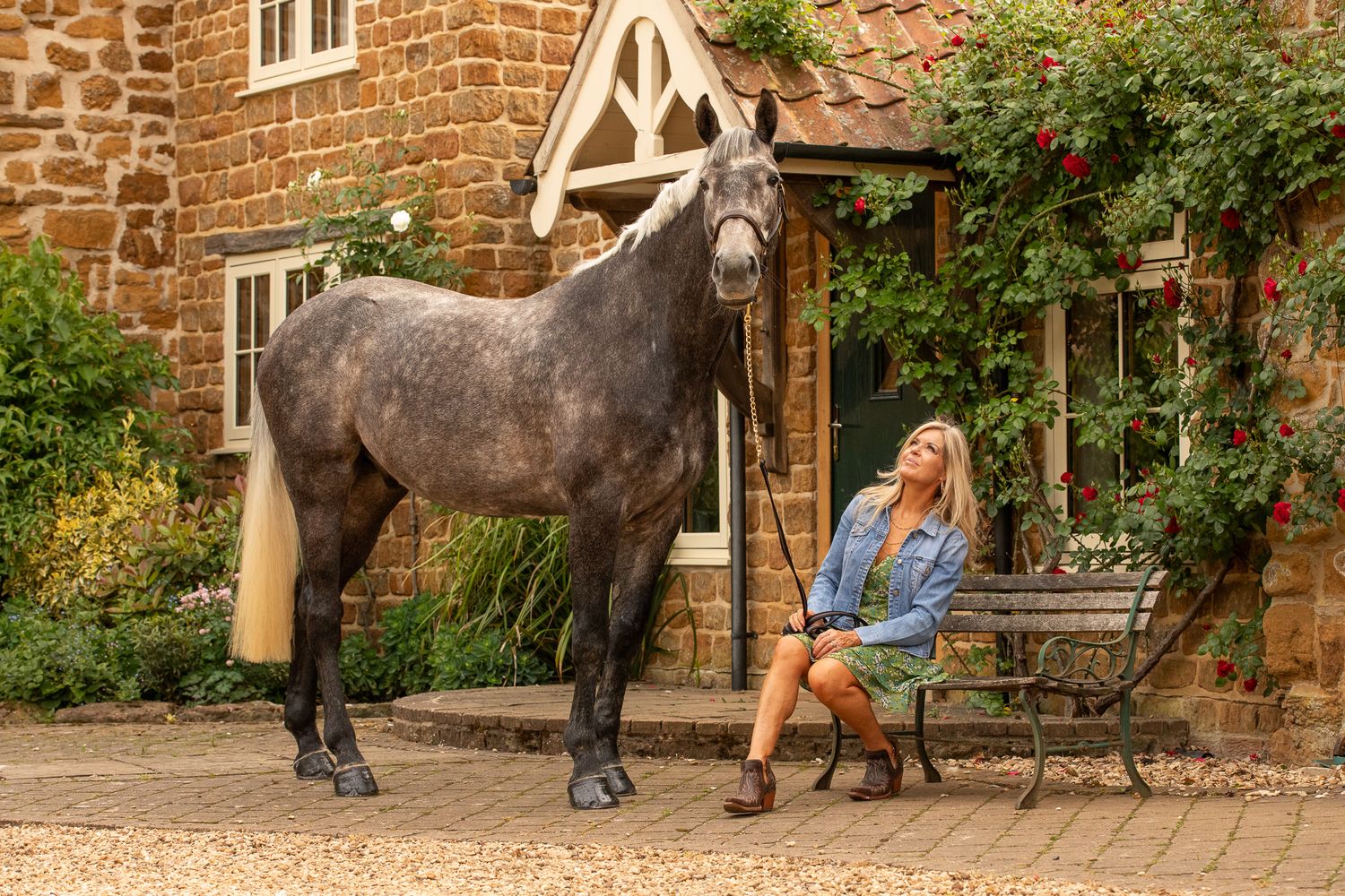 A beautiful black and white paint horse stands with a person on a sunny autumn day outdoors.
