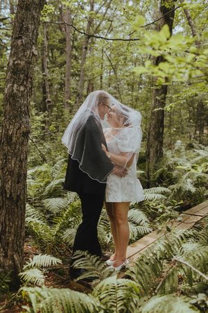 Romantic forest wedding photoshoot among tall trees and ferns in a lush woodland setting.