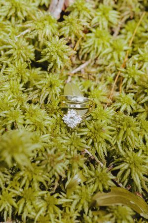 Close-up detail shot of a diamond ring nestled in green moss.