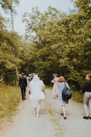 Group walking along a nature trail surrounded by green trees and foliage.