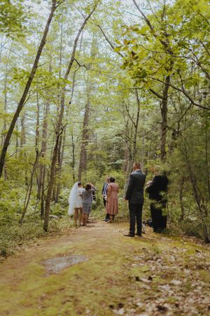 Wedding guests gather on a forest path surrounded by tall trees and green foliage.