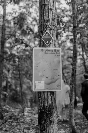 Black and white trail map signs posted on tree trunks in a forest setting.