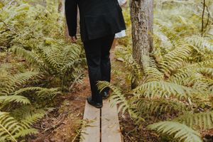Person walking on a narrow forest path surrounded by large ferns.
