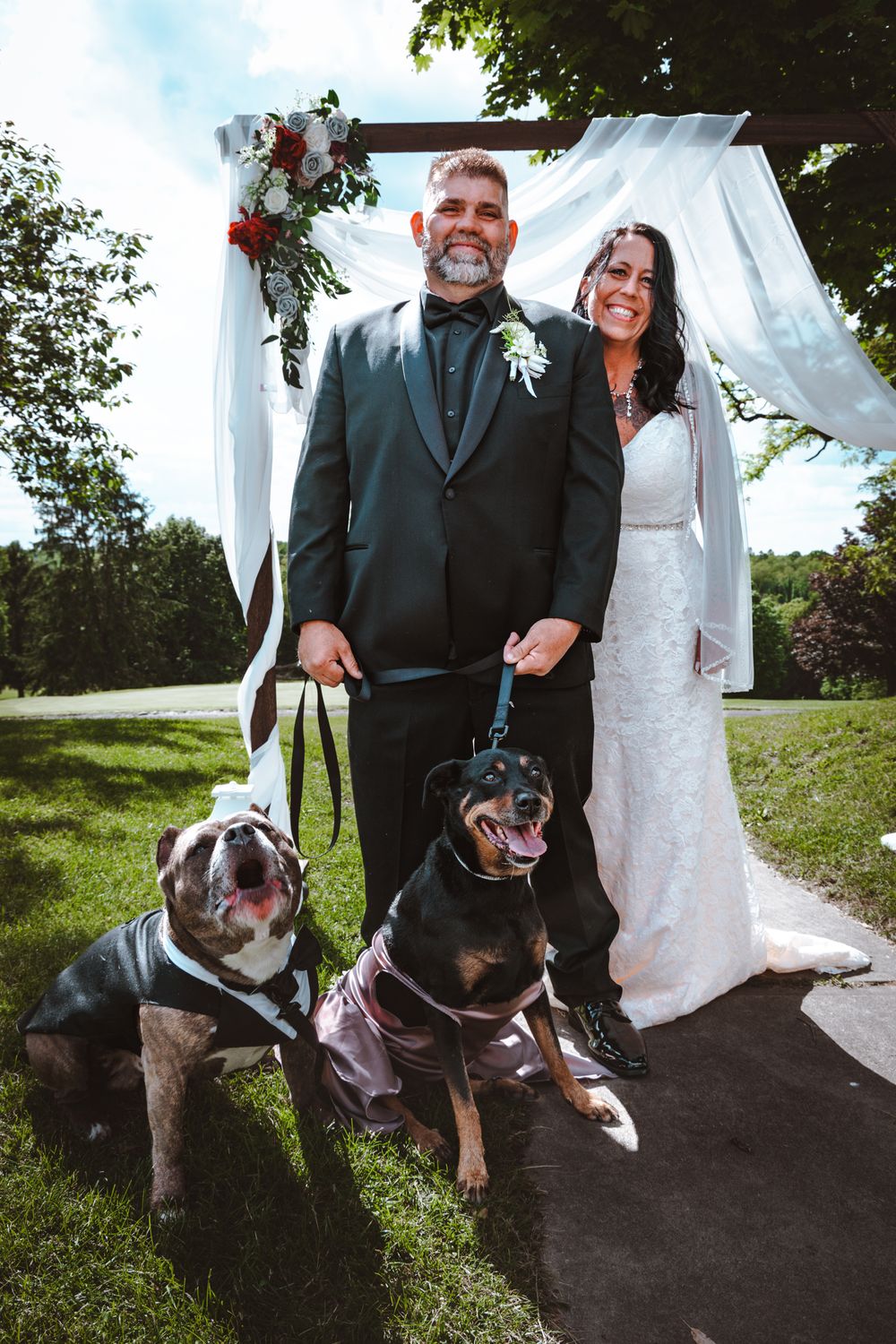 A wedding couple stands under a white arbor with their two happy dogs on leashes during an outdoor ceremony.