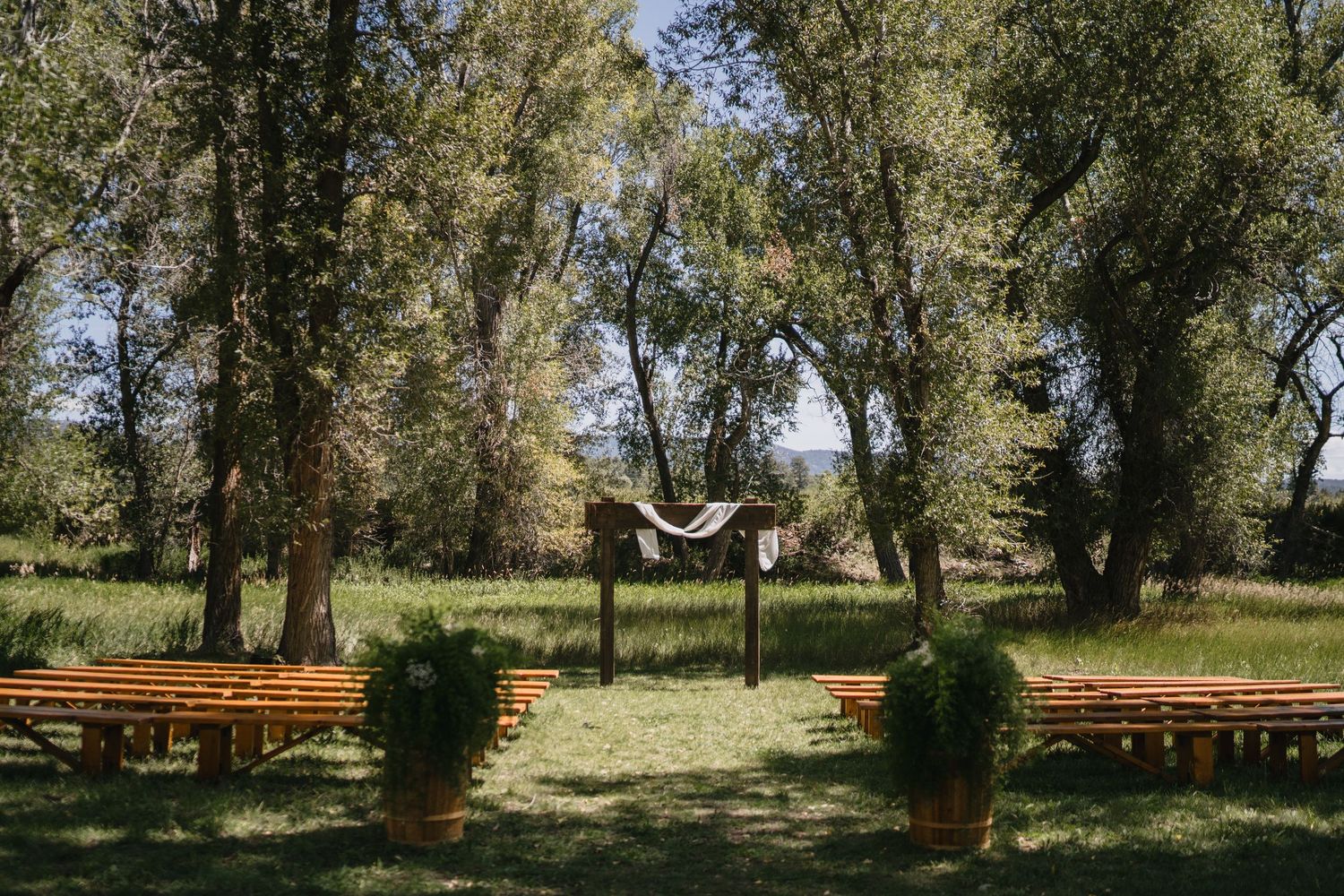 Outdoor wedding ceremony setup with wooden benches, floral arrangements, and draped arch amid lush green trees.