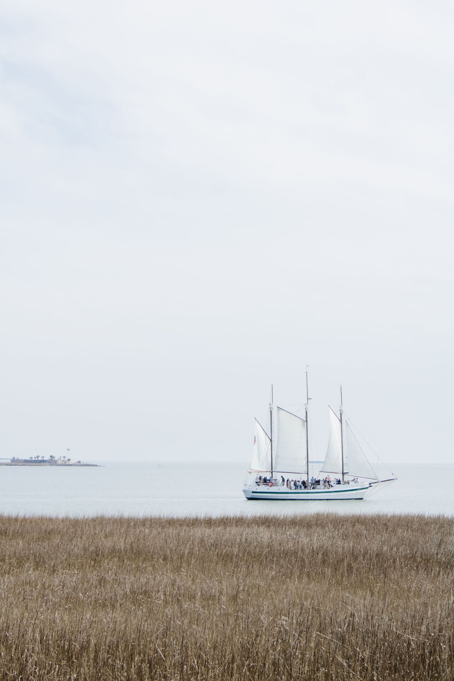 A white sailboat glides through calm waters behind golden marsh grasses on an overcast day. Charleston spring photo locations
