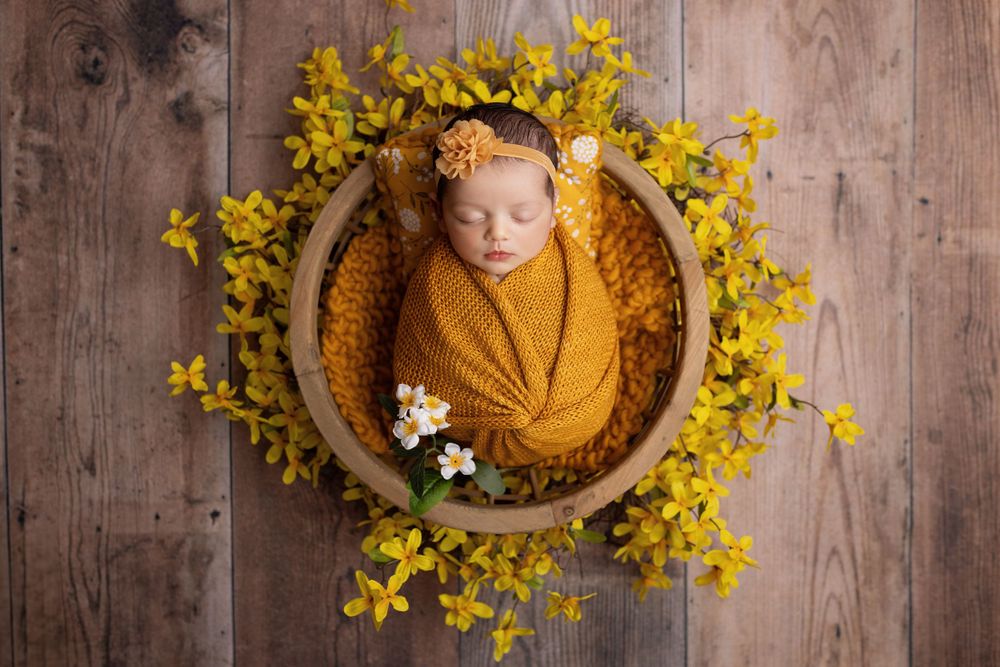 Newborn peacefully sleeping in wooden bowl surrounded by yellow forsythia flowers on rustic wooden background.