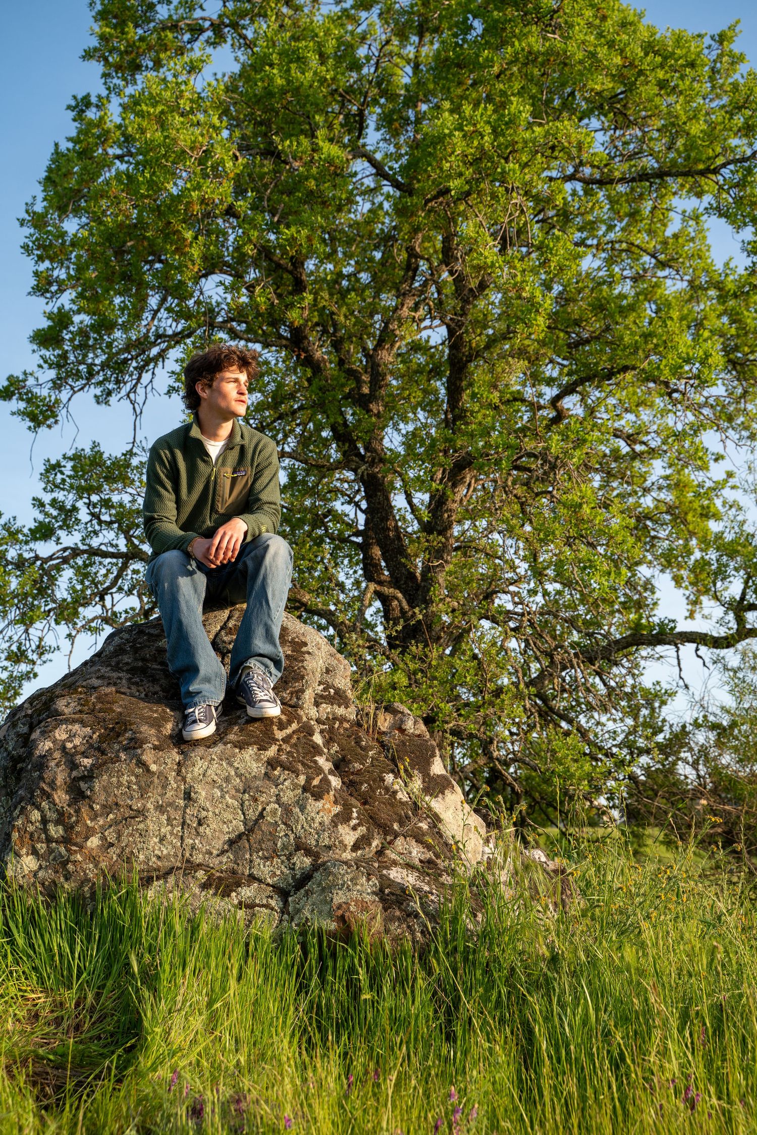 A person in casual wear sits atop a large rock with a majestic tree towering behind them.