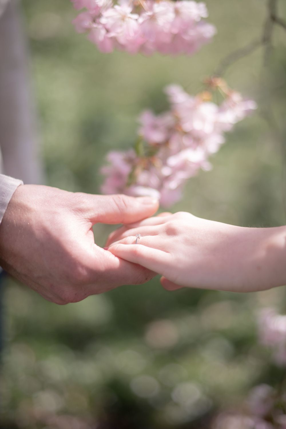 Zwei sich sanft berührende Hände mit zartrosa blühenden Kirschblüten im Weichzeichner-Hintergrund.