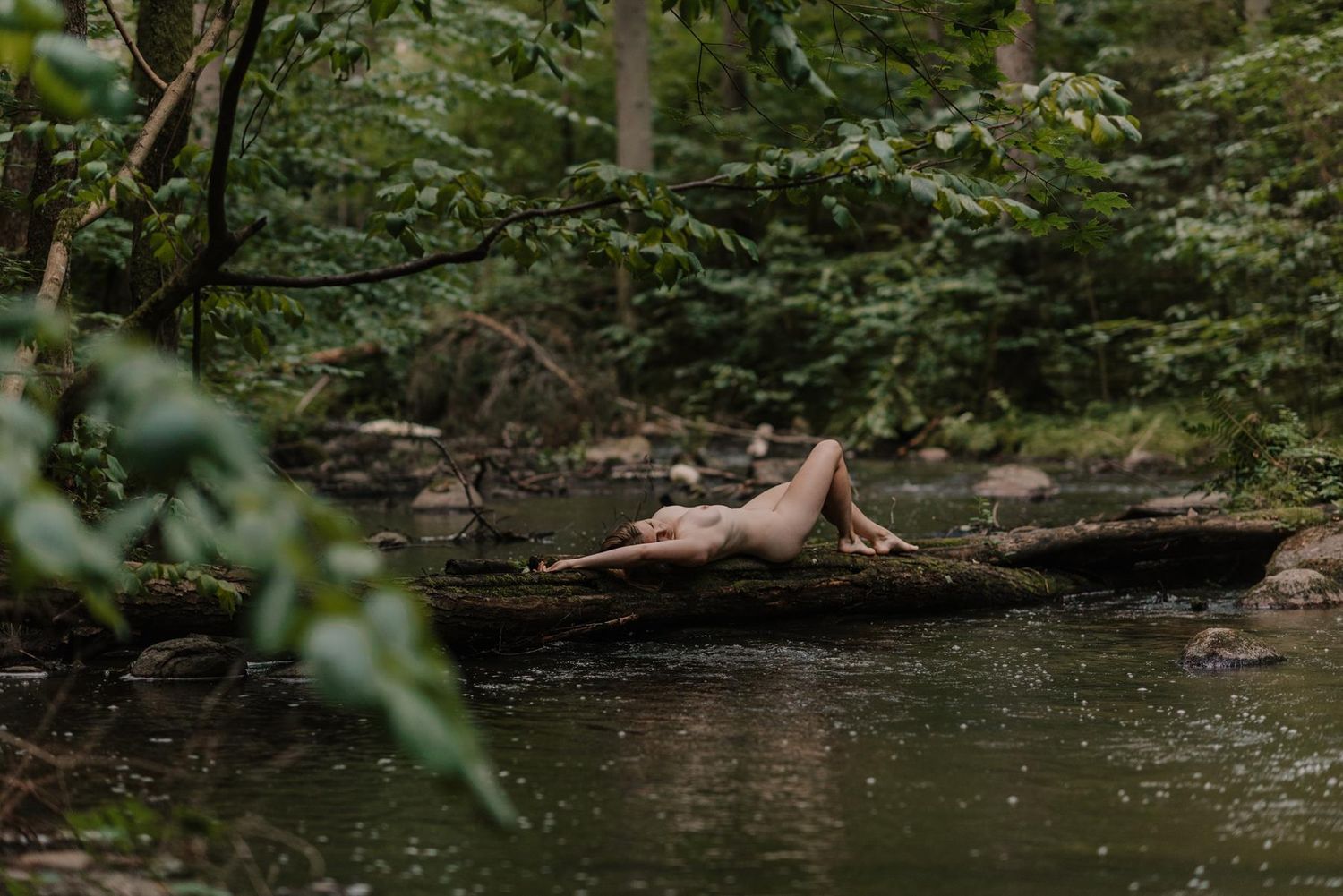 A lush green forest stream flows gently through mossy rocks and fallen logs creating a peaceful woodland scene.