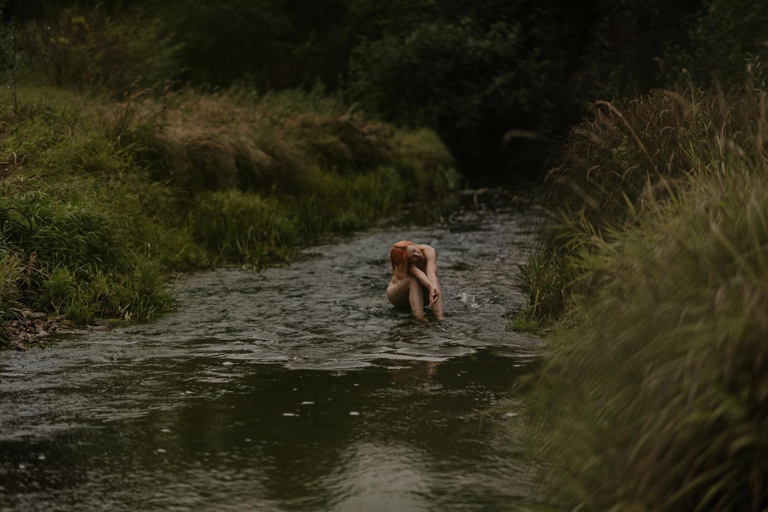 A grizzly bear walks through a shallow mountain stream hunting for fish while surrounded by lush wilderness.