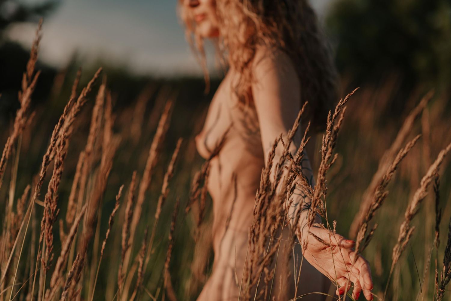 Golden wheat field swaying in warm sunlight during sunset creates a dreamy pastoral landscape.