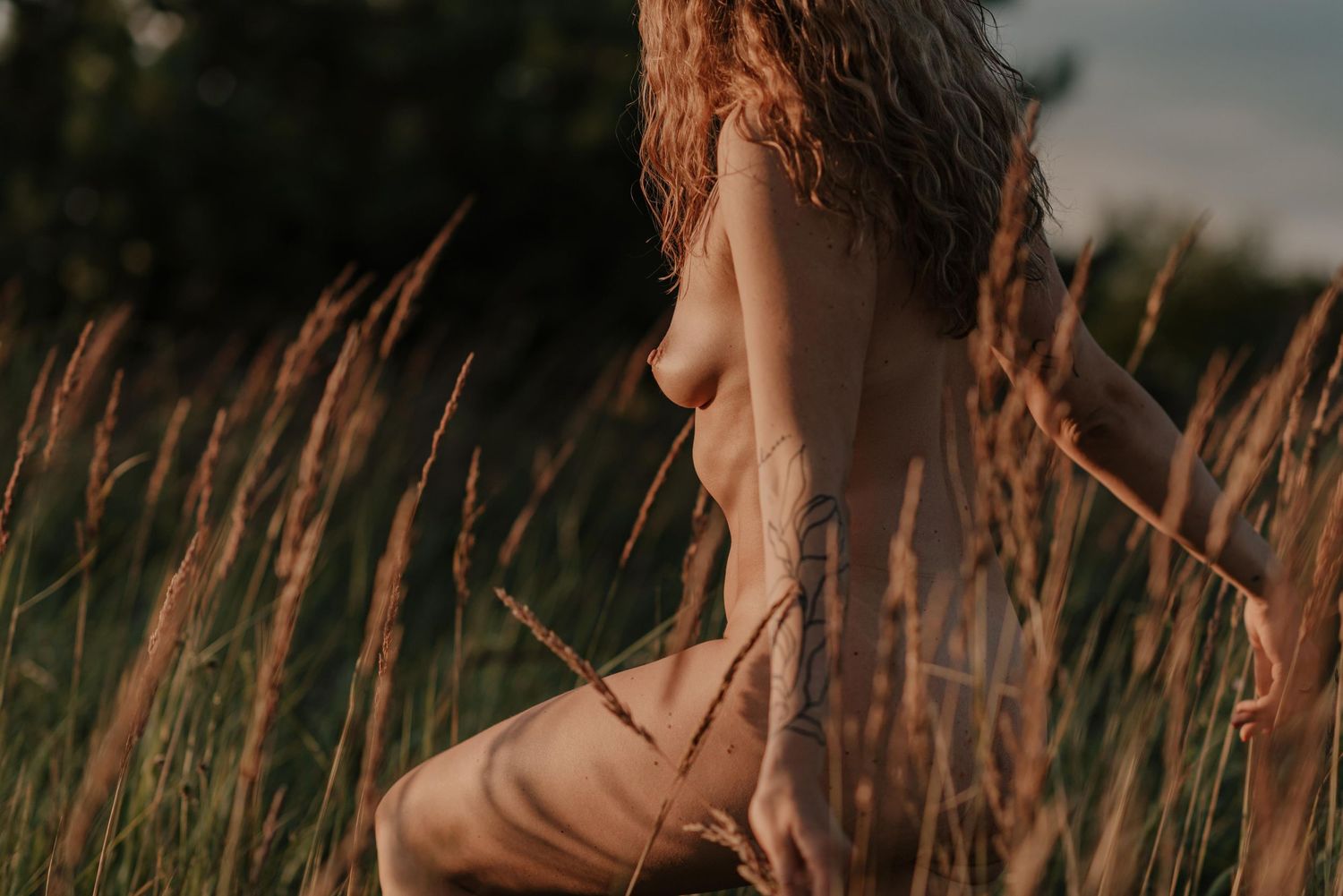 Scenic view of long grass swaying in golden sunlight during sunset against a blurred natural background.