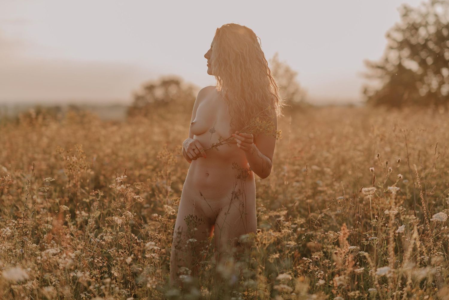 People embracing in a sunlit wildflower meadow during golden hour.