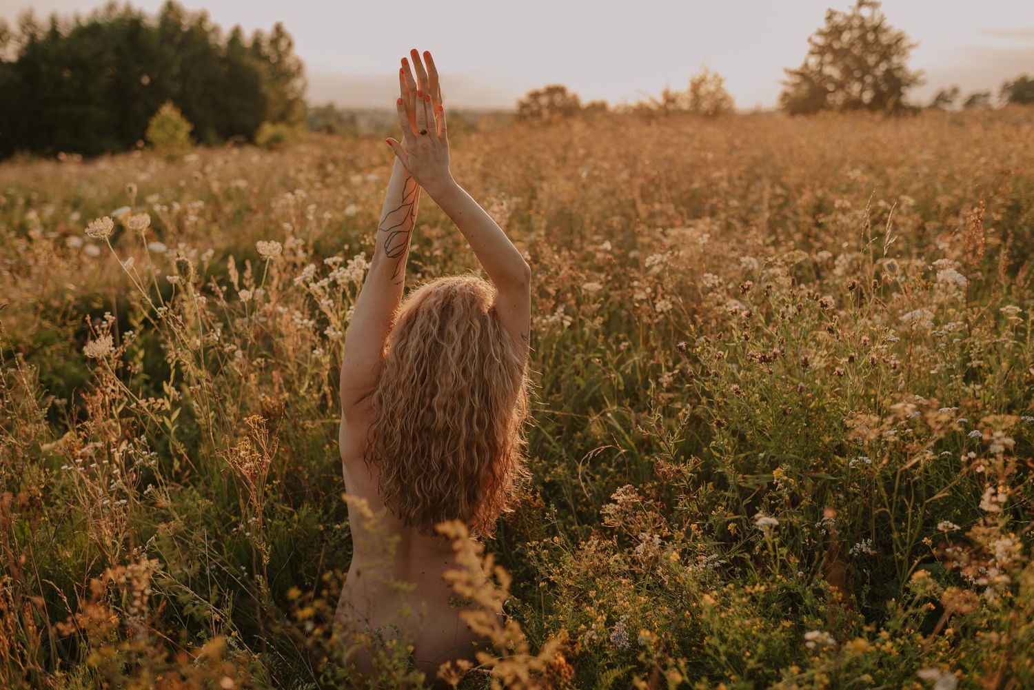 A mosaic of golden field photos at sunset showing raised arms reaching up through wildflowers and tall grass.