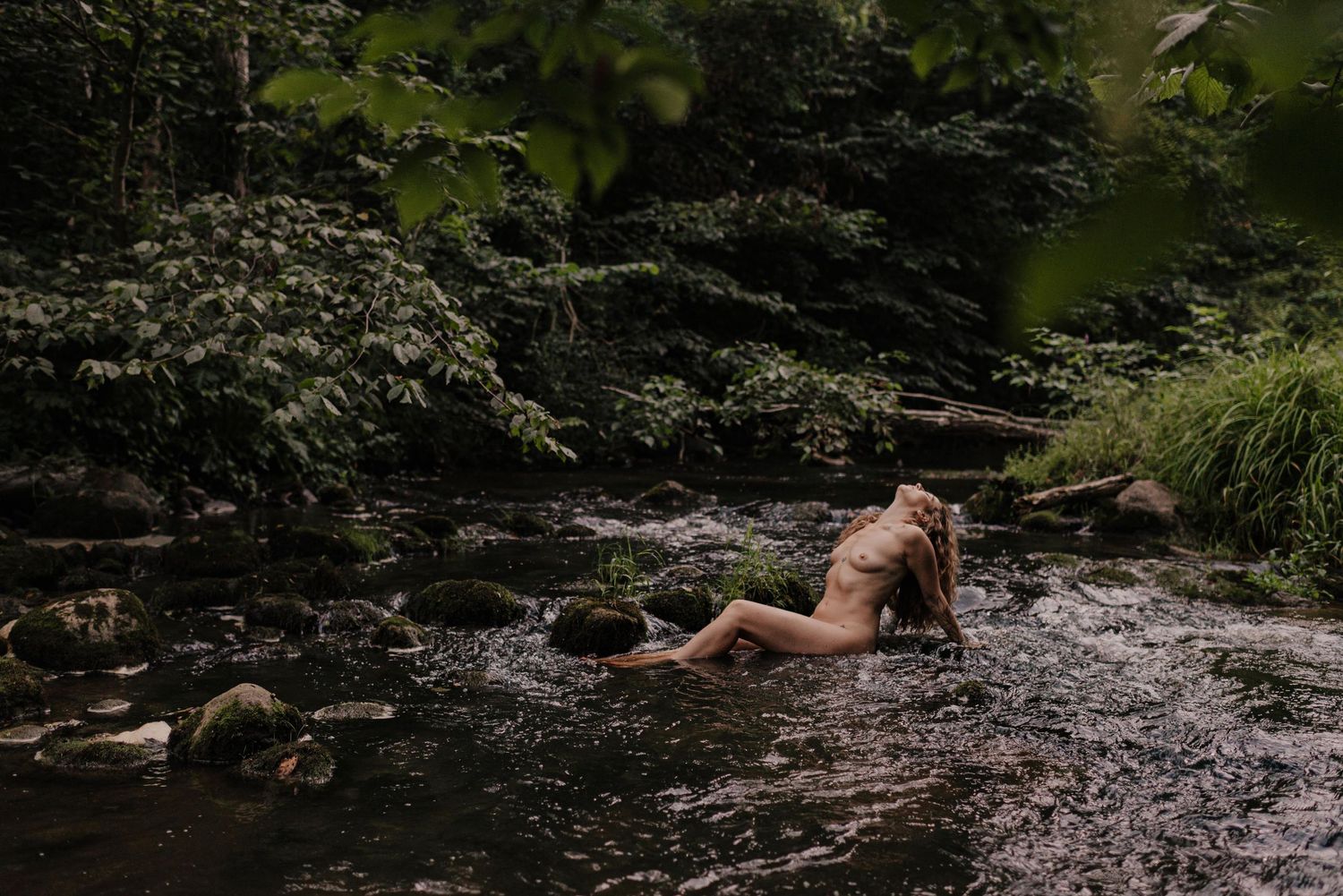 A brown dachshund playing in a rocky stream surrounded by lush green forest vegetation.