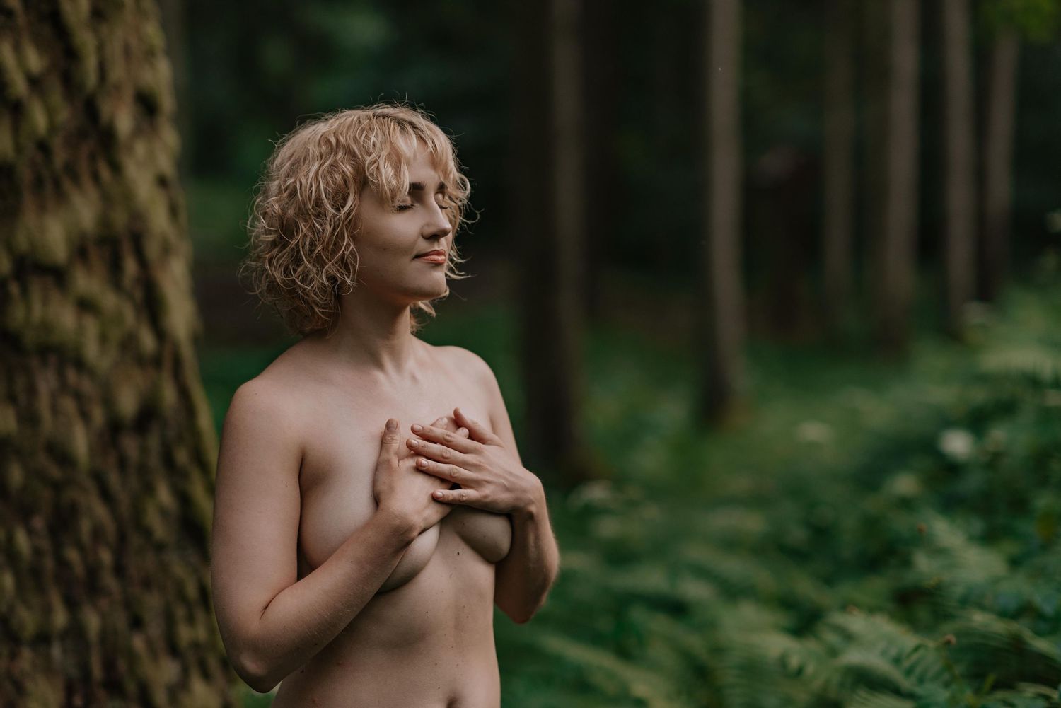 Ethereal forest photography featuring mossy trees and dappled sunlight.