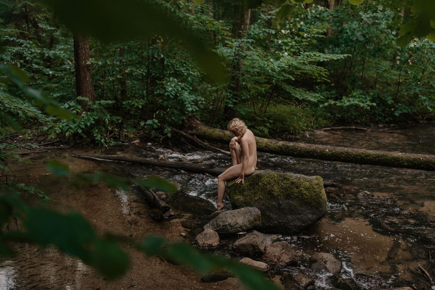 Rocky creek bed surrounded by forest vegetation in natural lighting.