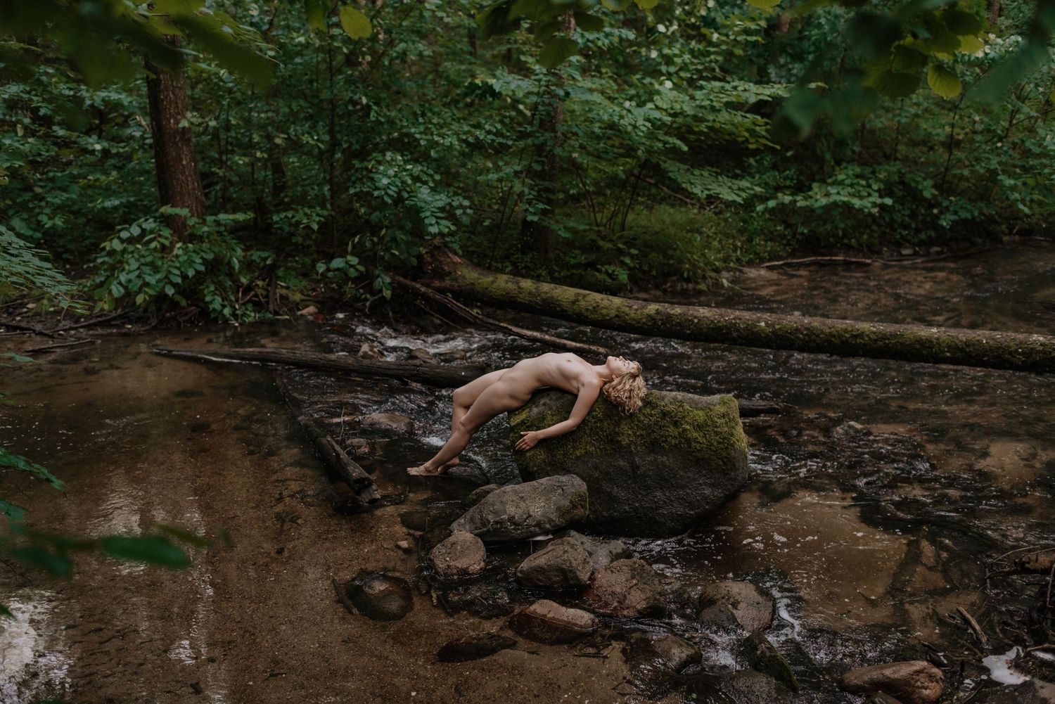 Brown stream flowing through mossy rocks and fallen logs in a dark forest landscape.