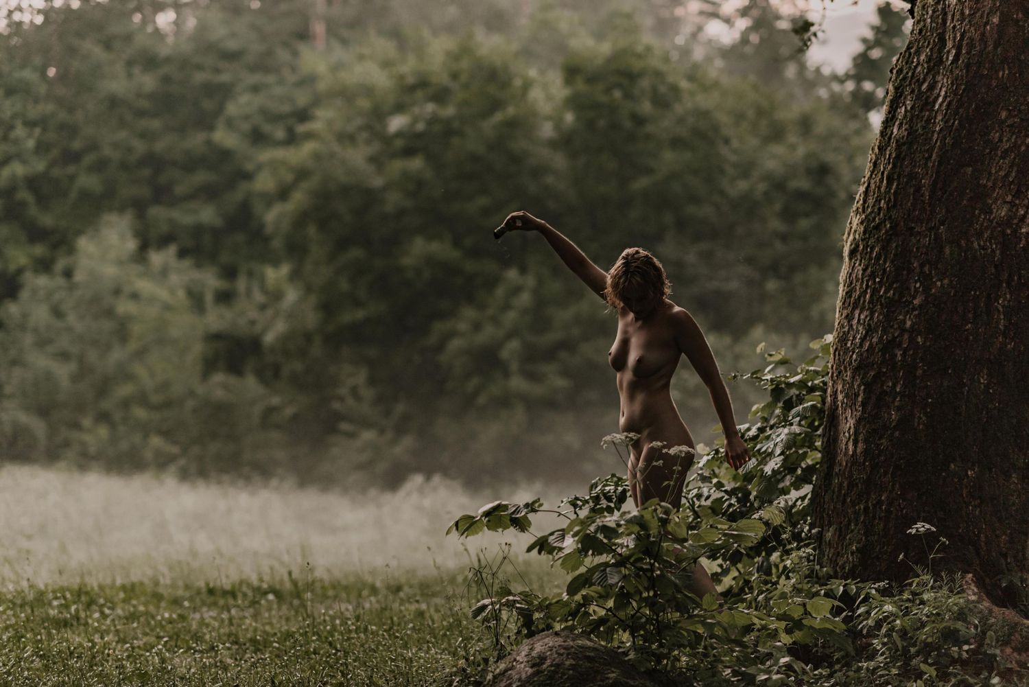 A romantic couple dances in a misty forest clearing during sunset, creating a dreamy atmosphere.