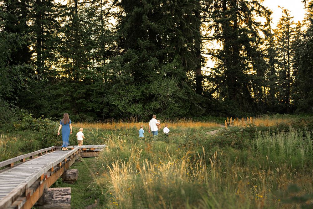 Family walking through a lush green meadow surrounded by tall pine trees on a wooden boardwalk trail at sunset.