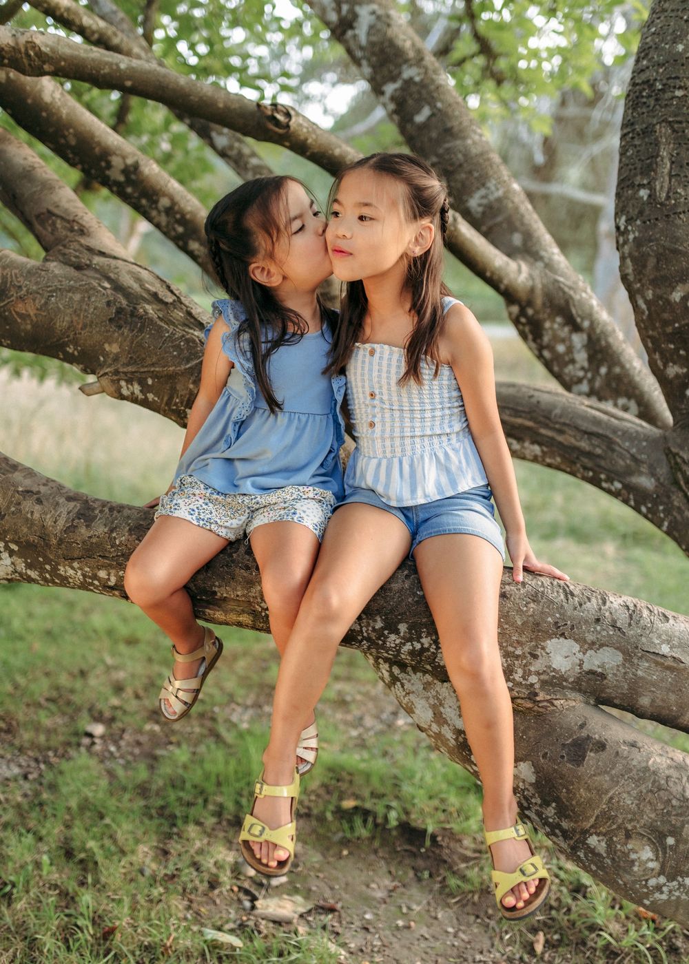 Two children in blue outfits sitting together on a tree branch.