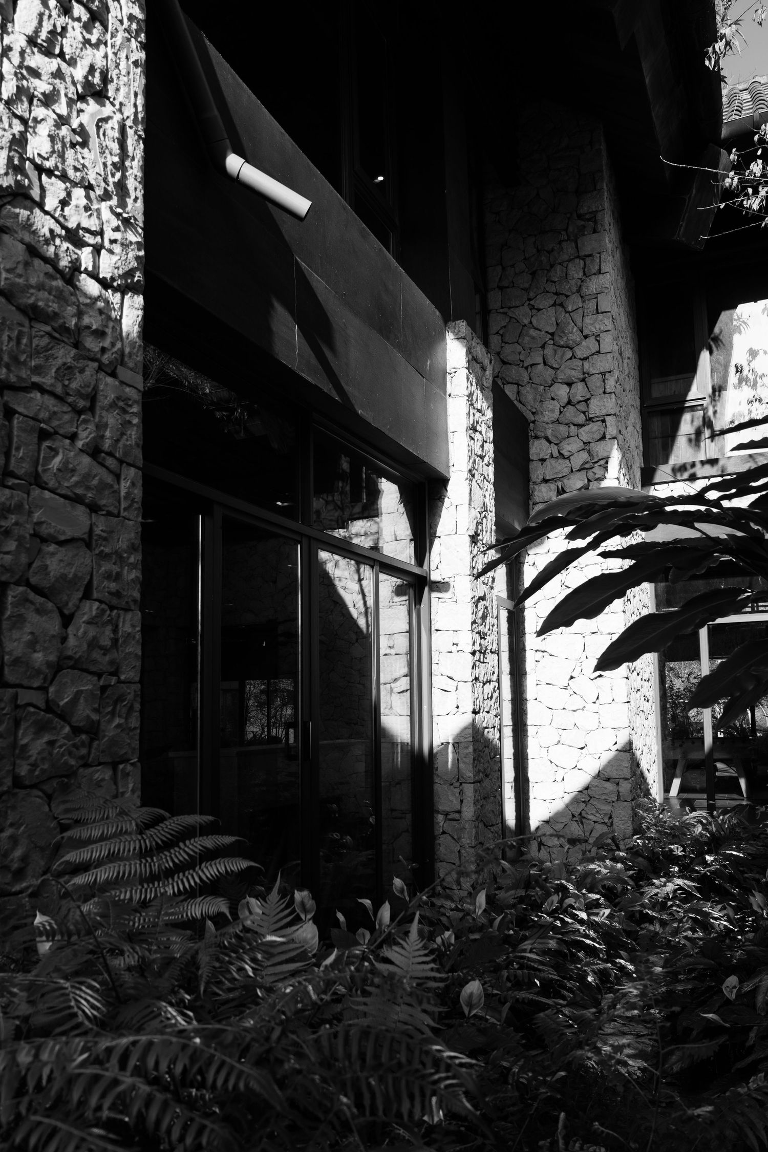 Black and white photo of stone building exterior with tropical ferns and dramatic shadows.