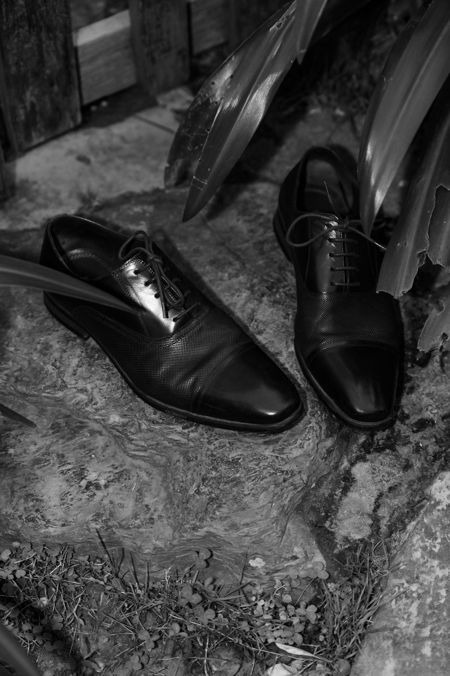 Classic black leather Oxford dress shoes placed on a stone surface with dark foliage in black and white.