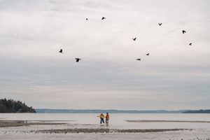 Two people walk on a vast tidal flat beneath a flock of birds soaring over a calm, overcast coastal landscape.