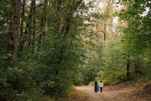 A winding forest path through lush green trees with two distant figures walking in autumn.