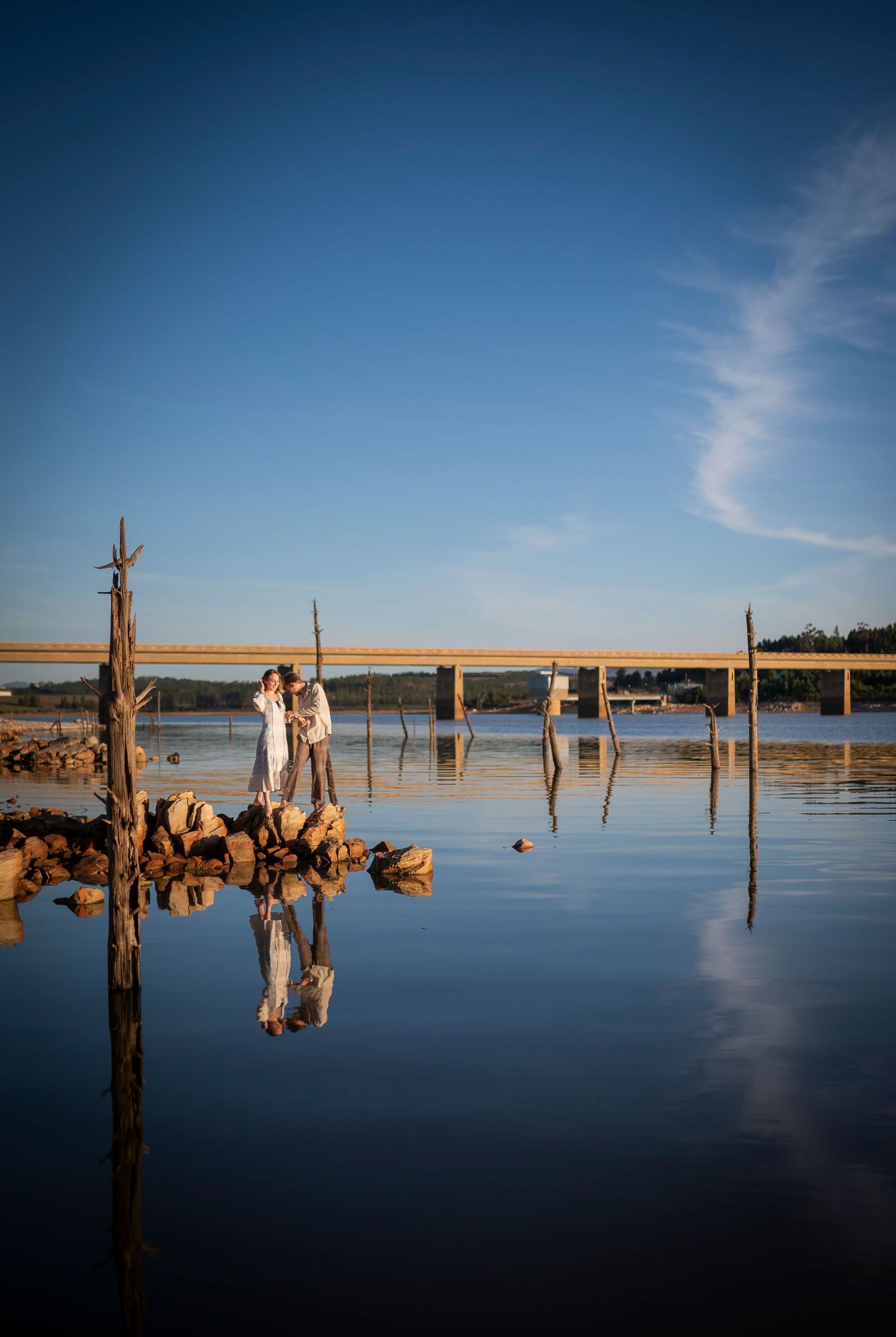 A serene lake landscape with dead tree stumps protruding from calm blue waters under a bright sunny sky.