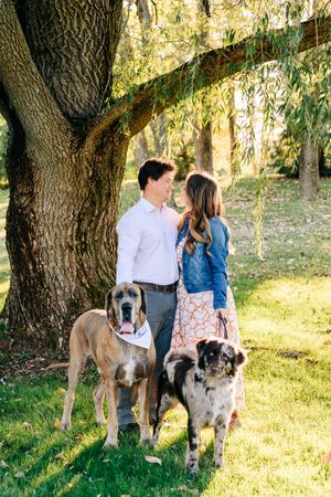 Couple standing with their two large dogs under a shady tree in a sunny outdoor setting.