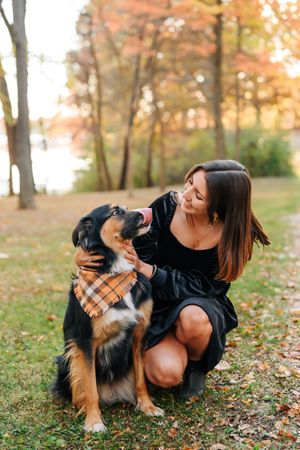 An Australian Shepherd wearing a plaid bandana sits on fallen autumn leaves while receiving affection in a park.