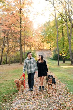 Five progression photos of a romantic autumn walk through a park with two dogs on fallen leaves at sunset.