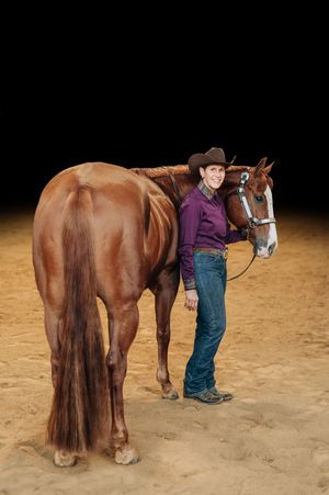 Four sequential images showing someone demonstrating the proper grooming and brushing technique on a brown horse.
