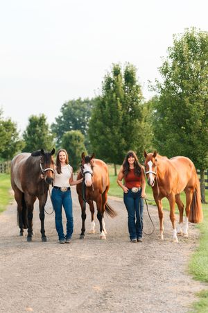 A series of professional equine photographs showing horses and handlers walking together in line on a dirt path.