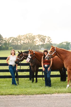 Four brown horses lined up along a wooden fence with handlers in matching denim attire during an outdoor photo session.