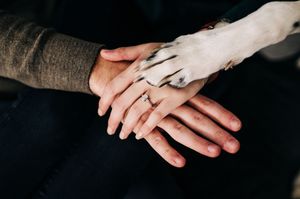 A human hand and a white dog's paw coming together in unity, with a ring visible on the person's finger.