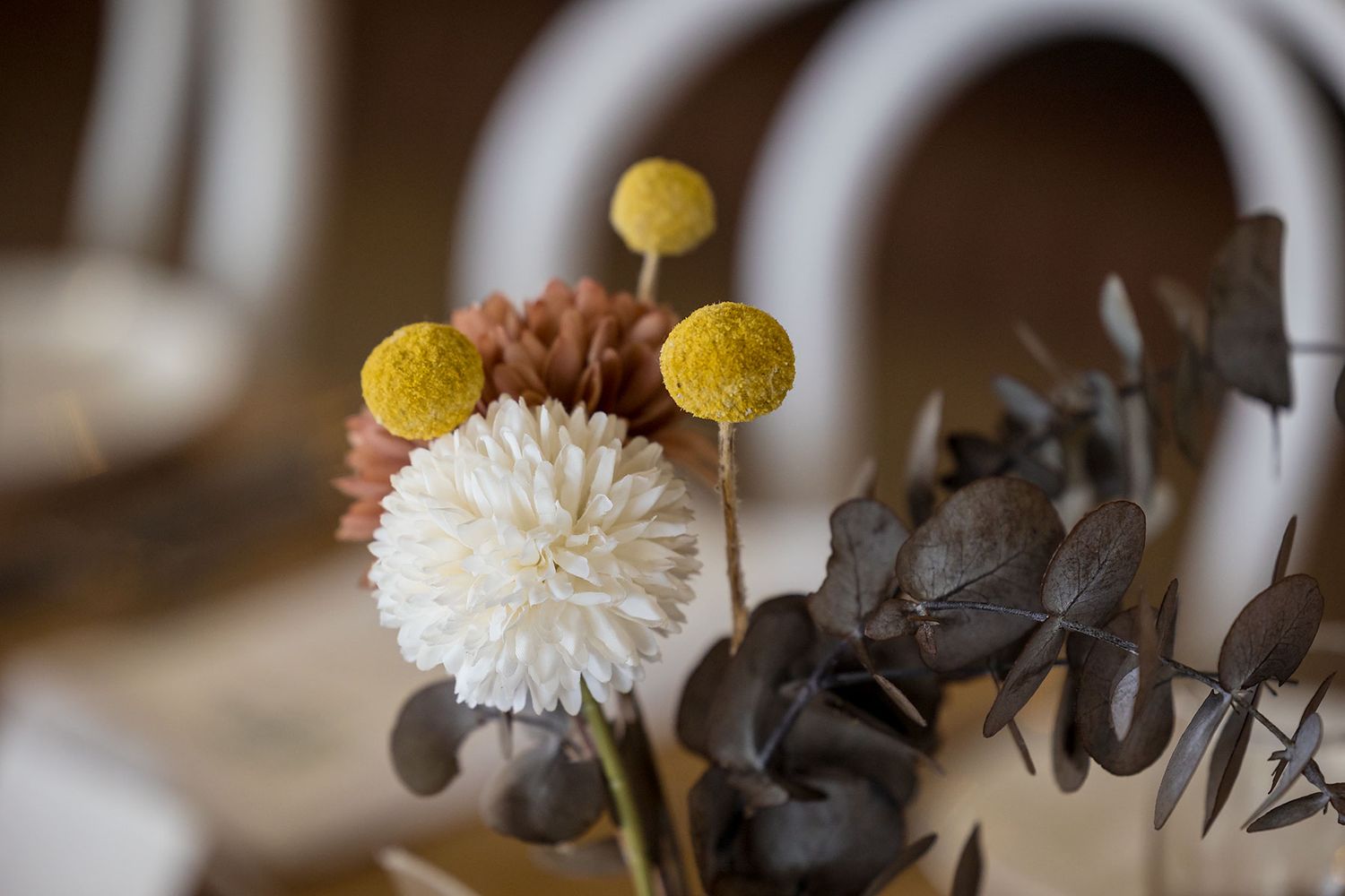 Two delicate white craspedia flowers arranged with dried eucalyptus stems in a moody still life composition.