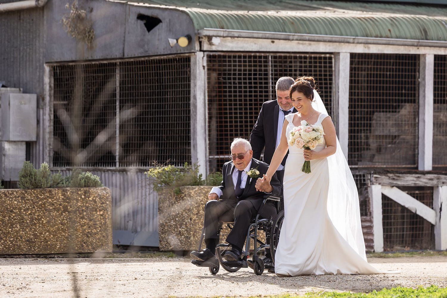 A bride in a white dress and her Dad getting pushed in a wheel chair beside her walking into her wedding ceremony at Buller Wines.