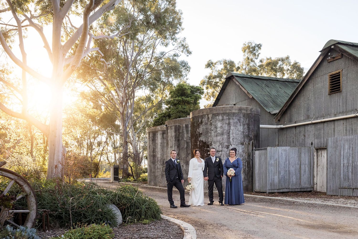 Wedding party standing together on the driveway at Buller Wines beside an old shed and the garden at sunset.