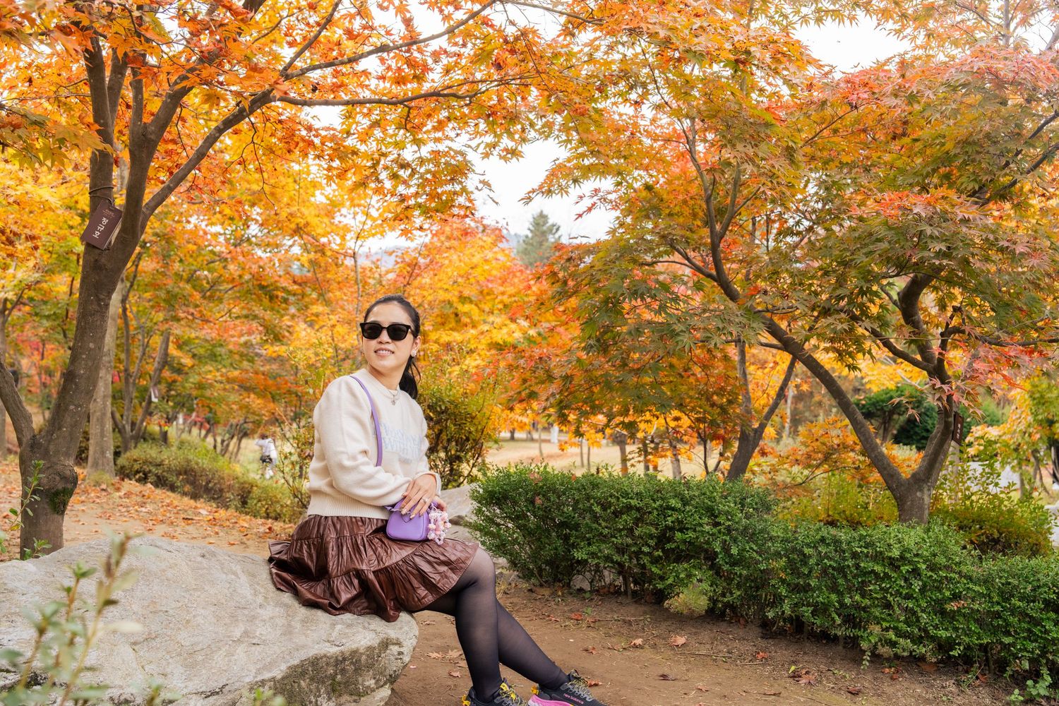 A traveler sits on a rock surrounded by vibrant orange autumn foliage in a scenic park setting.
